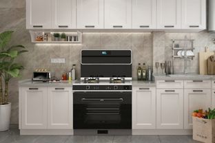 奧田集成灶,高顏值烹飪助手強(qiáng)勢(shì)來襲