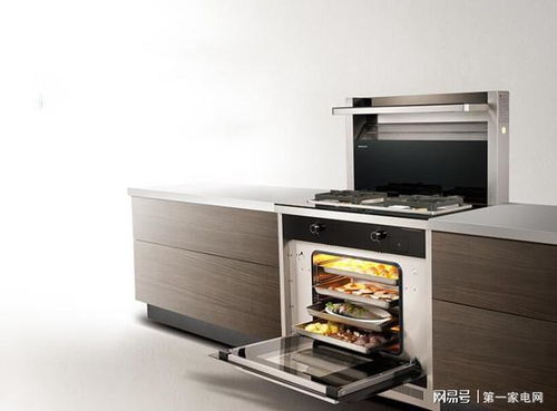 集成灶市場(chǎng)增勢(shì)強(qiáng)勁,多功能產(chǎn)品更受青睞