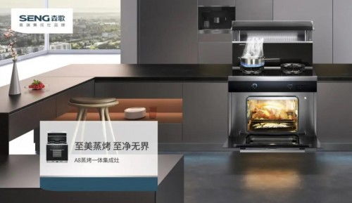 除油煙用廚房集成灶,排名前十的集成灶哪家好