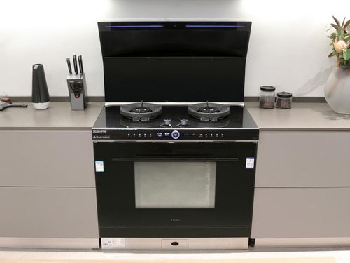 大師級蒸烤一體集成灶怎么選 顏值與科技缺一不可