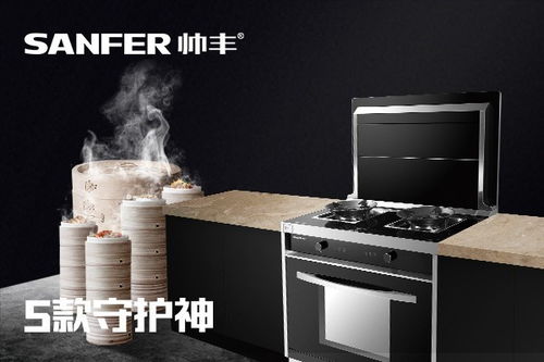 環(huán)保集成灶廠家?guī)涁S告訴你 什么是 廚電一體化